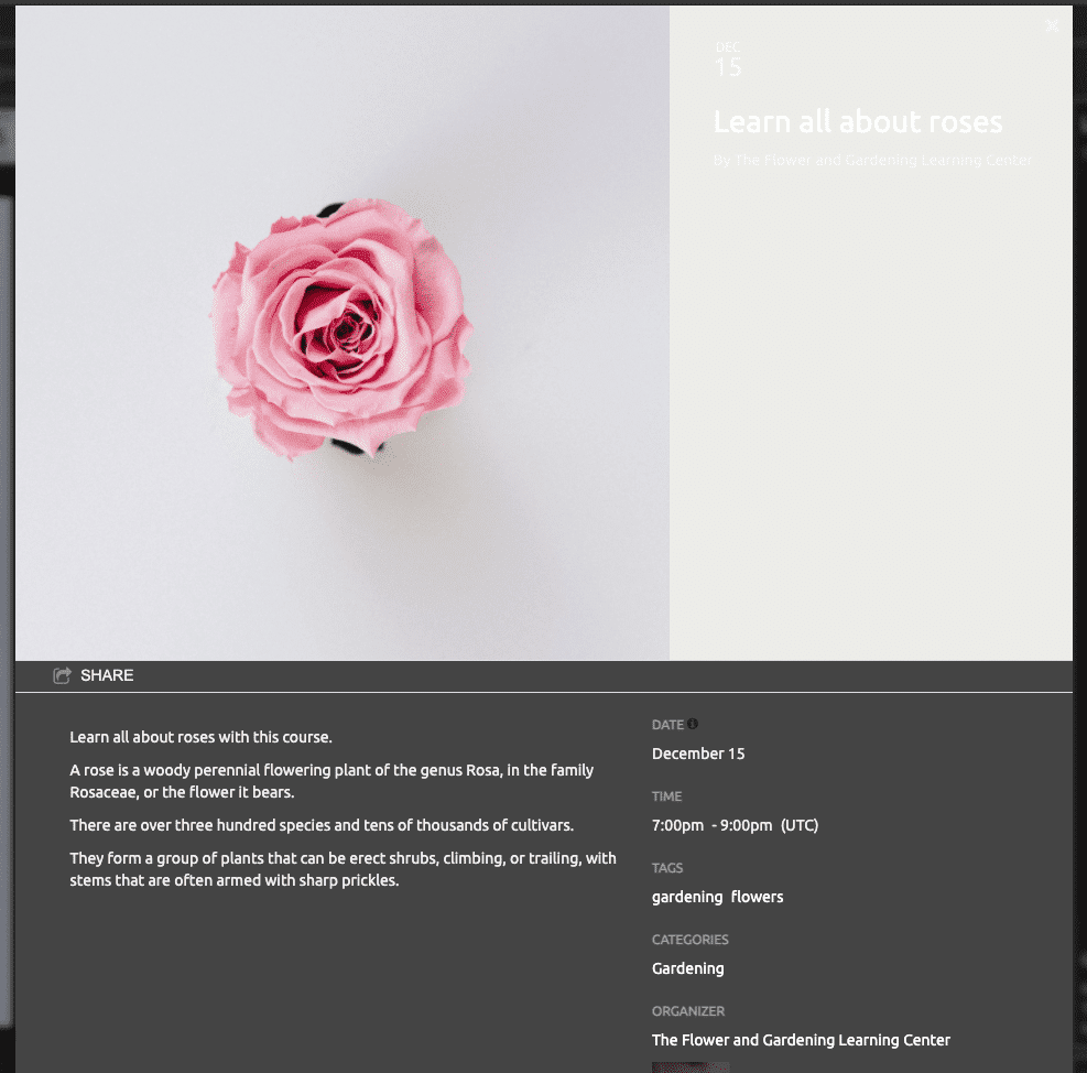 print screen of timely public view calendar night theme