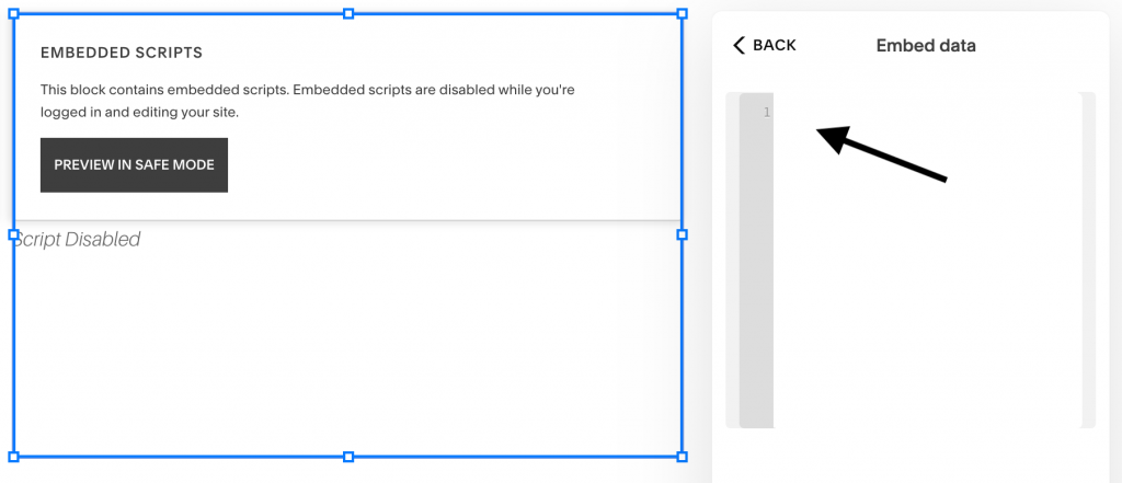 Print screen of Squarespace dashboard embed data option