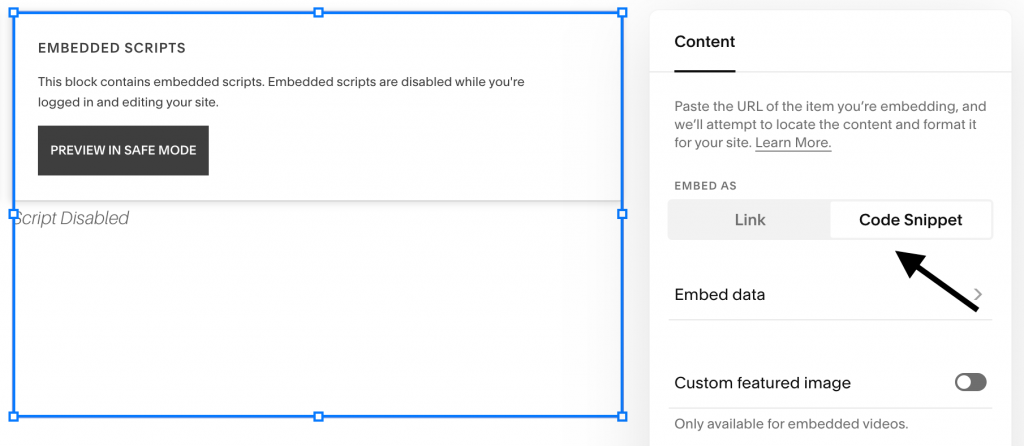 Print screen of Squarespace dashboard Code Snippet option
