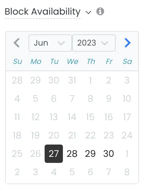 Timely calendar showing block availability