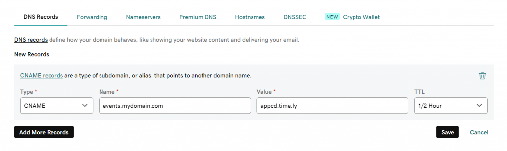 DNS entry for Timely