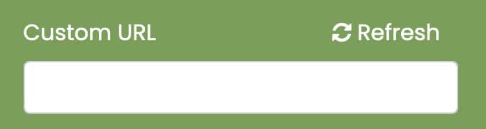 Stampa schermo di Timely dashboard che mostra dove aggiungere l'URL personalizzato per i tuoi eventi